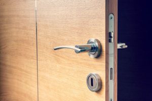 Acheter poignée de porte