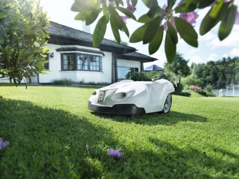 tondeuse robot dans un jardin