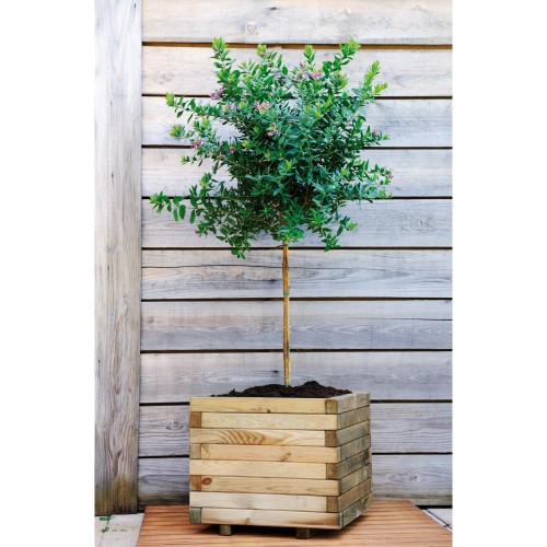 Jardinière en bois