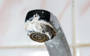 Perfect niemand Naar Retirer le calcaire d'un mitigeur ou robinet : Nos astuces