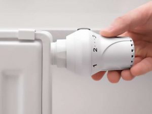 tete thermostatique guide bricozor