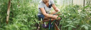 bricoler et jardiner pour préserver sa santé physique