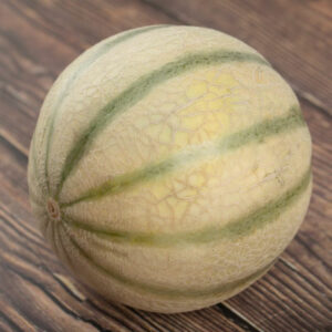 Melon ancien « Vieille France »