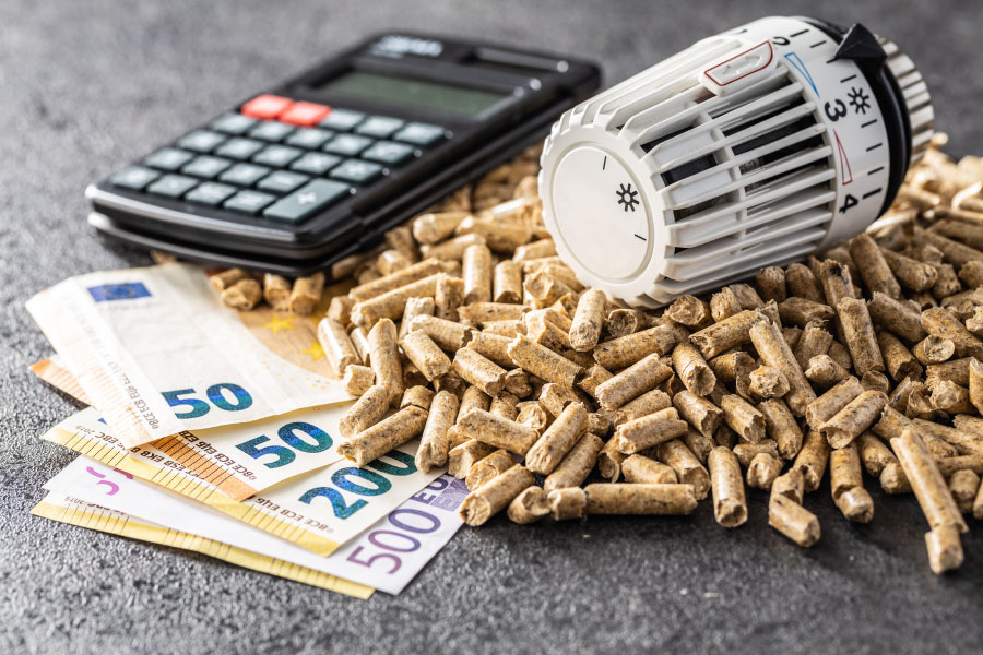 tete thermostatique de chauffage, pellets de bois, calculatrice et billets de banque