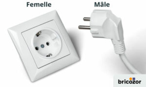 prise électrique mâle et femelle