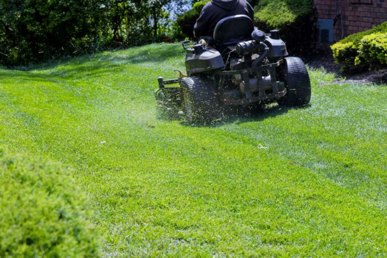 Tondre la pelouse avec un tracteur tondeuse