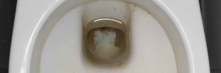 Eau Marron Qui Remonte Dans Les Wc