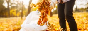 main ganté ramasse tas de feuilles mortes dans sac ramassage dans le jardin nettoyage