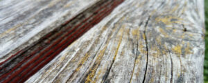 texture de terrasse bois mousse lichens surface fissures humidité