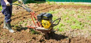 jardinier passe le motoculteur dans le potager pour retourner la terre et labourer