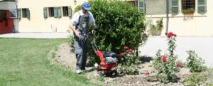 motoculteur dans le parterre de fleur