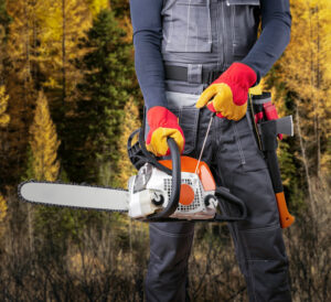 bûcheron tient une tronçonneuse ou scie à chaine pour couper arbre