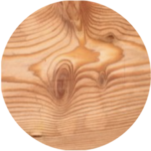 essence-bois_resineux-meleze essence de bois résineux mélèze