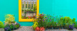 mur du jardin coloré en bleu mur du jardin coloré en bleu