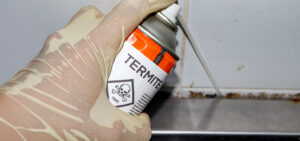des produits chimiques pour tuer les termites dans les trous du mur tuent les termites à l’intérieur de la maison des produits chimiques pour tuer les termites dans les trous du mur tuent les termites à l'intérieur de la maison