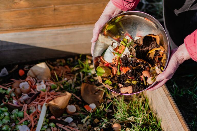 personne qui met dans un compost un peu de déchets de cuisine comme des légumes des fruits des coquilles d'oeufs du café pour trier et fabriquer de l'engrais biologique