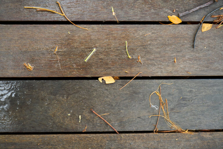 terrasse en bois humide, sale et glissante après la tempête