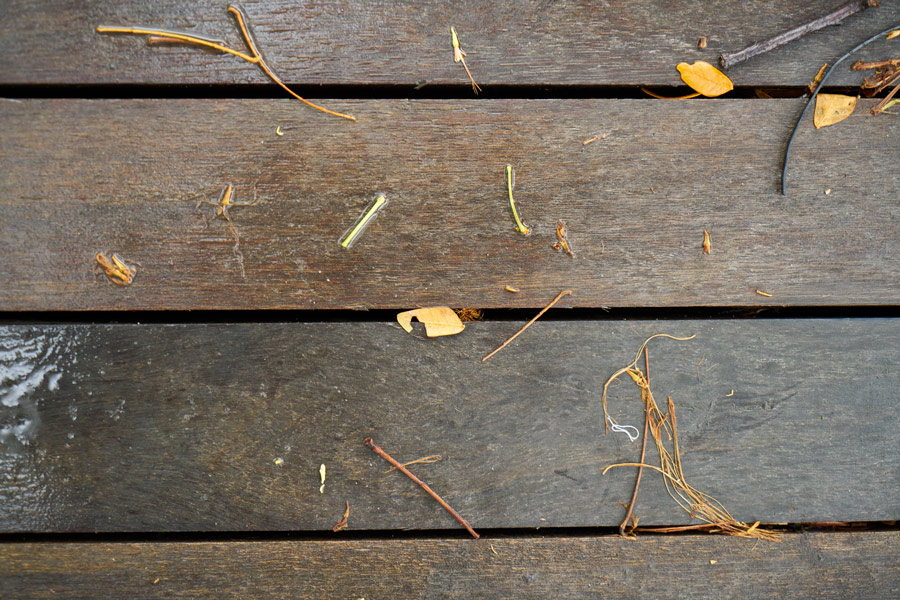 terrasse en bois humide, sale et glissante après la tempête