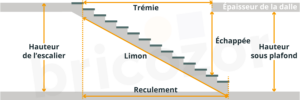 anatomie de l'escalier