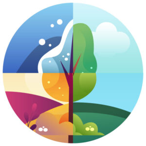 les 4 saisons : printemps, été, automne, hiver